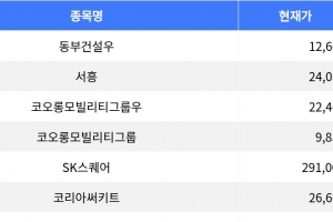 기사로 이동 - 동부건설우, 장 마감 기준 하락세 1위 기록