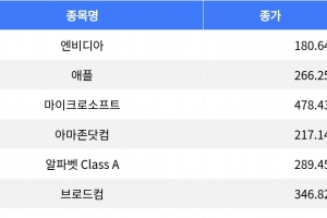 기사로 이동 - 엔비디아 3% 이상 하락, 애플 0.86% 하락…나스닥 기술주 부진