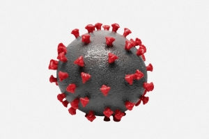 기사로 이동 - 요즘 퍼지는 ‘이 변이’…독감보다 더 독하다