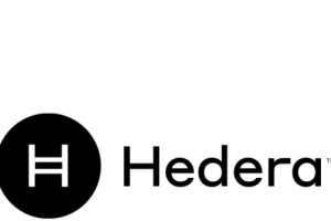 기사로 이동 - 헤데라, 시가총액 300위권 24시간 등락률 1위 주목