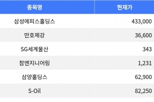 기사로 이동 - 삼성에피스홀딩스, 하루 만에 -29.13% 급락