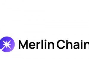 기사로 이동 - 멀린 체인, 시가총액 300위권 24시간 등락률 1위