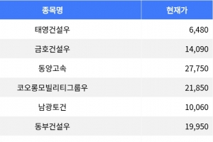 기사로 이동 - 태영건설우, 상한가로 증시 주목