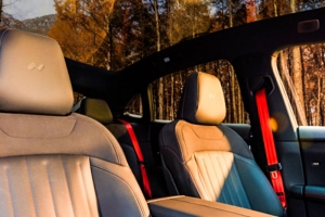 기사로 이동 - 테슬라 어쩌나… 3천만원대 말이 되나, 충격의 ‘이 차’ 등장