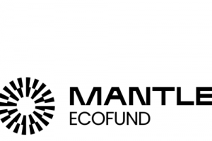 기사로 이동 - 맨틀, 시가총액 300위권 24시간 등락률 1위