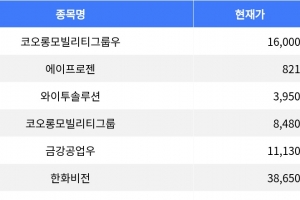 기사로 이동 - 코오롱모빌리티그룹우, 10.71% 하락 마감, 주가 하락세 두드러져