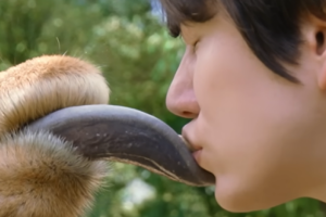 기사로 이동 - “지겹다 난리쳤는데”… 넷플릭스 초토화시킨 나영석의 ‘이 예능’