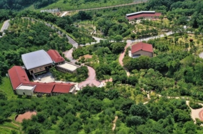 thumbnail - 숲·온천·스파로 힐링…겨울에 더 좋은 국내 웰니스 여행지 4곳