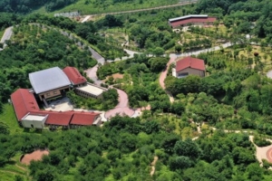 기사로 이동 - 숲·온천·스파로 힐링…겨울에 더 좋은 국내 웰니스 여행지 4곳