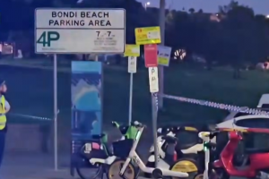 기사로 이동 - ‘16명 사망’ 호주 시드니 총기난사…‘과일가게 아저씨’ 영웅 등극