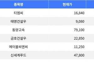 기사로 이동 - 티엠씨, 공모가 대비 81.08% 상승하며 1위 차지
