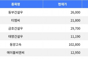 기사로 이동 - 동부건설우, 30% 상승으로 상한가 기록