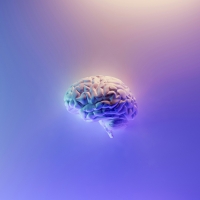 thumbnail - “나이 들어서도 스마트하게 살고 싶은데”...지금 관리한 ‘이 체중’, 뇌 나이를 늦출 수