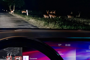 기사로 이동 - “철수한다더니 완전 작정했네”… 판매 꼴찌 GM, ‘이 차’로 반격 시작