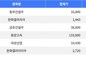 기사로 이동 - 동부건설우, 한화갤러리아 상한가 기록하며 증시 주도