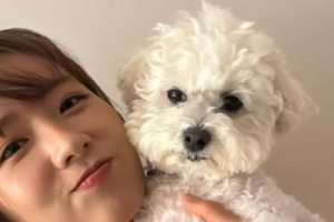 기사로 이동 - “흔들릴 때도 함께한 사람”…에이핑크 윤보미, 9년 열애 끝 ‘이 사람’과 결혼