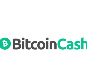 기사로 이동 - 비트코인 캐시, 시가총액 300위권 24시간 등락률 1위