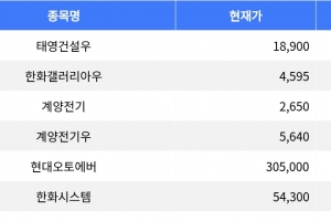 기사로 이동 - 태영건설우, 한화갤러리아우 상한가 기록