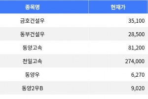 기사로 이동 - 금호건설우, 하한가로 거래 마감 -29.94% 하락