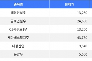 기사로 이동 - 태영건설우, 공모가 대비 30% 하락하며 시장 주목