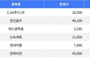 기사로 이동 - CJ씨푸드1우, 한진칼우 상한가 기록, 시장 강세 주도