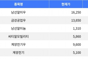 기사로 이동 - 남선알미우, 금강공업우 상한가 기록하며 강세 마감