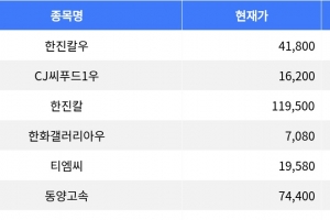 기사로 이동 - 한진칼우, 등락률 -13.10%로 하락세 주도