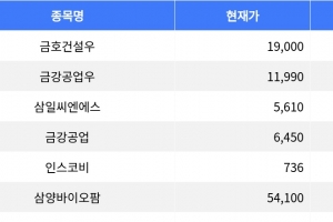 기사로 이동 - 금호건설우, -14.80% 하락으로 1위 기록