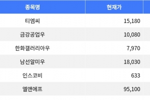 기사로 이동 - 티엠씨, 하락세 주도하며 등락률 -16.64% 기록