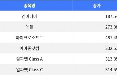 thumbnail - 엔비디아 하락, 메타 상승…나스닥 종합 등락 엇갈려