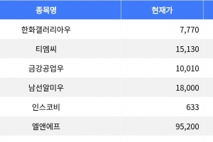 기사로 이동 - 한화갤러리아우, 17.52% 하락하며 장 마감