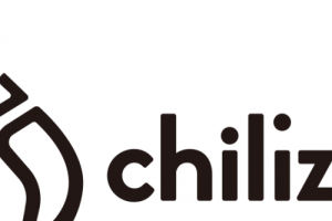 기사로 이동 - 칠리즈, 시가총액 300위권 24시간 등락률 1위 상승세 유지