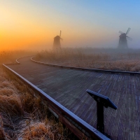 thumbnail - 새해 첫날부터 발 디딜 틈 없다… 968억 쏟아부은 ‘이 공원’