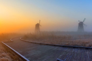 기사로 이동 - 새해 첫날부터 발 디딜 틈 없다… 968억 쏟아부은 ‘이 공원’