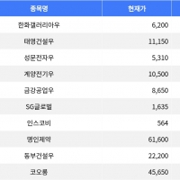 thumbnail - 한화갤러리아우, 등락률 -20.21%로 하락세 1위 기록