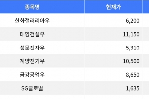 기사로 이동 - 한화갤러리아우, 등락률 -20.21%로 하락세 1위 기록
