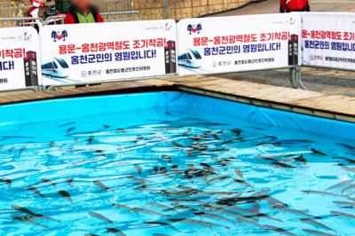 thumbnail - 차가운 물에 맨몸으로 풍덩… 6년근 인삼 먹인 송어 잡으러 가는 ‘이곳’