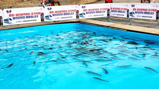 thumbnail - 차가운 물에 맨몸으로 풍덩… 6년근 인삼 먹인 송어 잡으러 가는 ‘이곳’