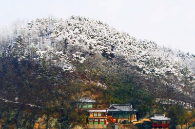 thumbnail - 해인사보다 159년 먼저라니… 1300년 버텨낸 절벽 위 ‘이곳’