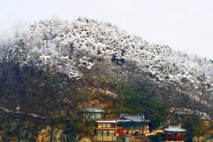 기사로 이동 - 해인사보다 159년 먼저라니… 1300년 버텨낸 절벽 위 ‘이곳’