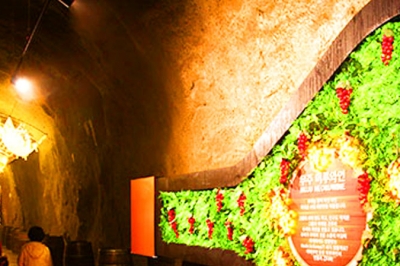 thumbnail - “칼바람 피해 다 모였다는…” 연중 17℃ 유지되는 ‘이 동굴’의 정체