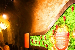 기사로 이동 - “칼바람 피해 다 모였다는…” 연중 17℃ 유지되는 ‘이 동굴’의 정체