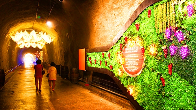 thumbnail - “칼바람 피해 다 모였다는…” 연중 17℃ 유지되는 ‘이 동굴’의 정체