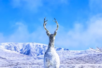 thumbnail - 유네스코급 절경이 도로 옆에?… 차 타고 오르는 한라산 ‘이곳’