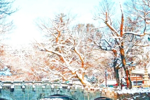 기사로 이동 - 천년 넘게 버티더니 결국… 눈 내린 날 가장 아름답다는 ‘이 사찰’