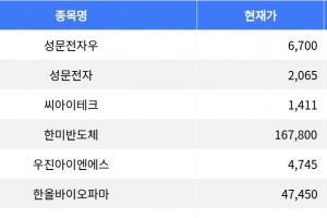 기사로 이동 - 성문전자우, 26.18% 상승으로 장 마감 주도