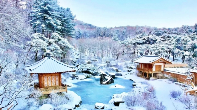 thumbnail - “지도에도 없던 6만평”… 거장이 13년간 숨겨온 ‘이곳’ 정체