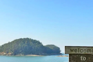 기사로 이동 - “겨울바다 옆 붉은 장관”… 1096종 꽃망울 터트린 ‘이곳’