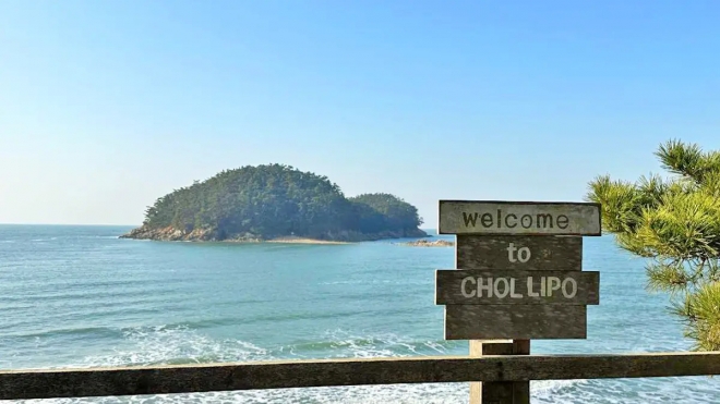 thumbnail - “겨울바다 옆 붉은 장관”… 1096종 꽃망울 터트린 ‘이곳’