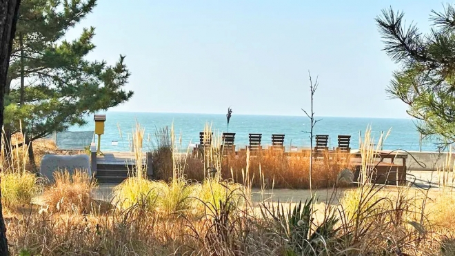 thumbnail - “겨울바다 옆 붉은 장관”… 1096종 꽃망울 터트린 ‘이곳’